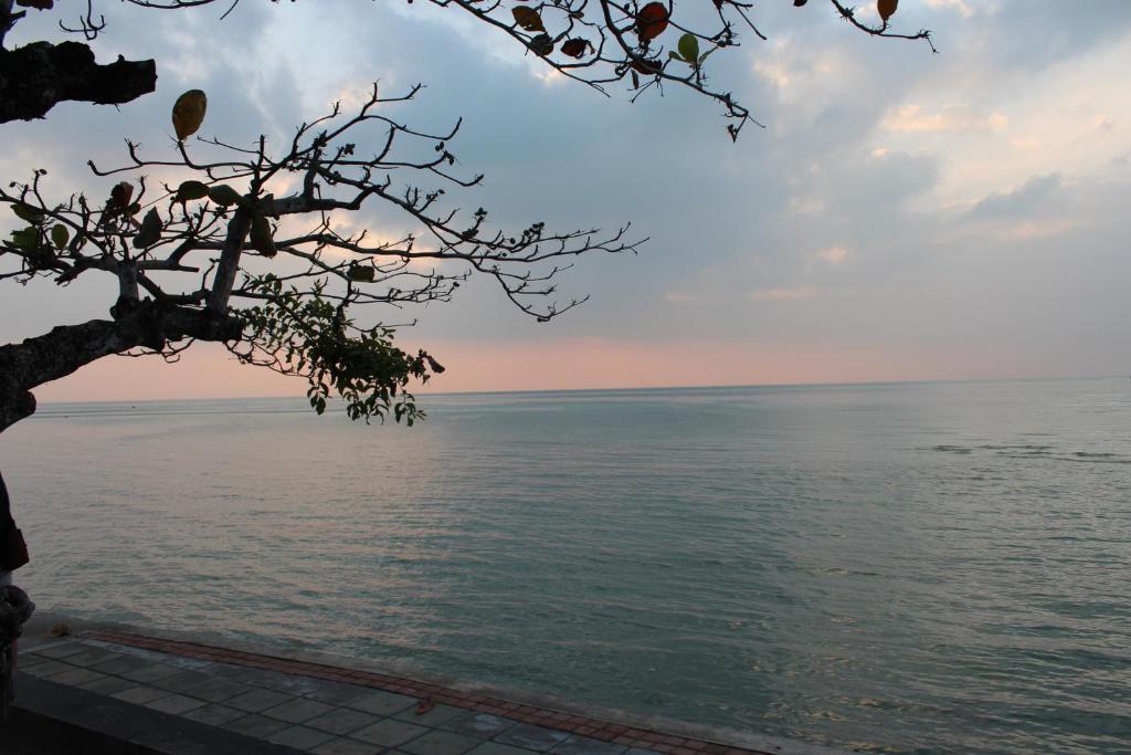 Sri Samui Affittacamere *